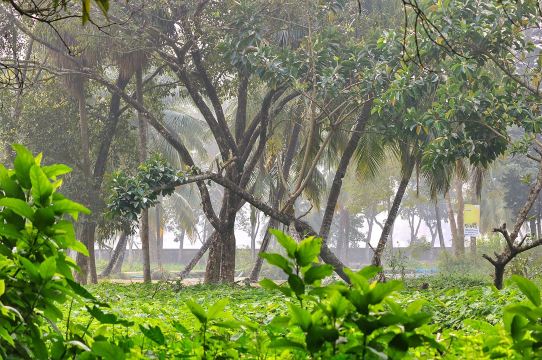Comilla Zoo and Botanical Garden in Comilla