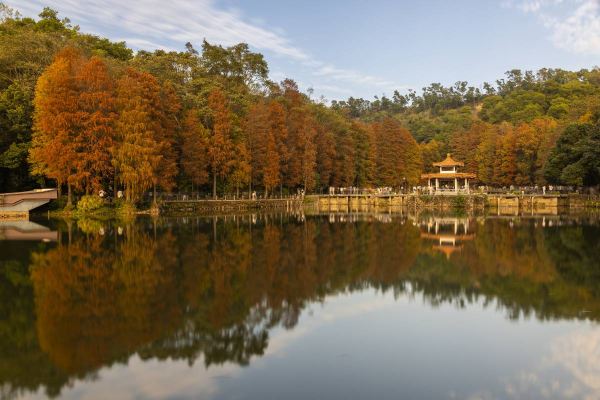 Fairy Lake Botanical Garden