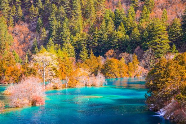貧乏旅行を楽しむためのマインドセット