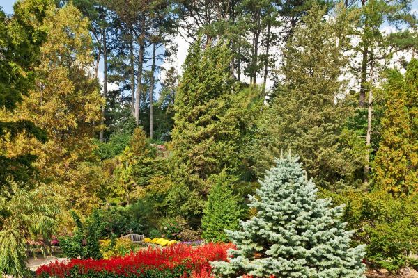 Fairy Lake Botanical Garden