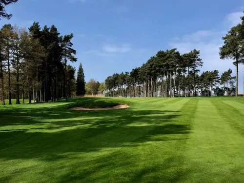 Forest Pines Hotel, Spa & Golf Resort Near Hotel Photos