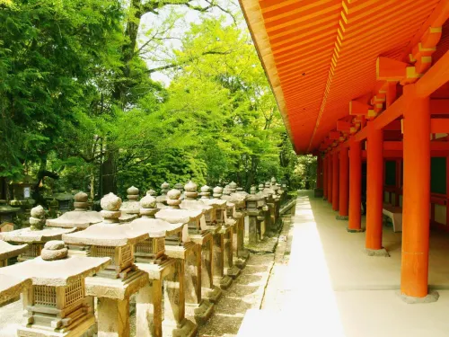 Guesthouse Nara Komachi Public Areas Photos