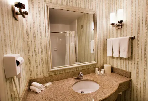 Hilton Garden Inn Chicago/Oakbrook Terrace Chambres Photos