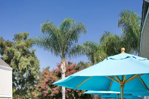 Residence Inn Irvine Spectrum Area Publik Photos
