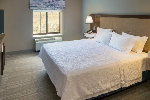 Hampton Inn & Suites Binghamton/Vestal Chambres Photos
