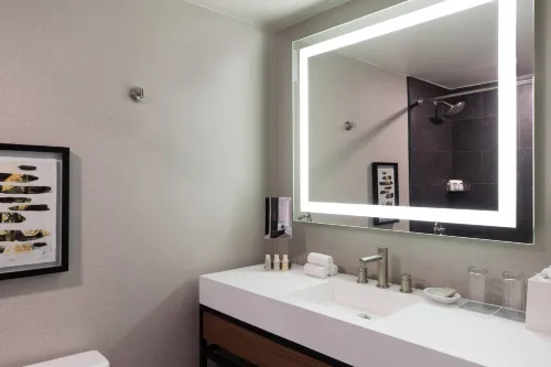 Renaissance Chicago North Shore Hotel Rooms Photos