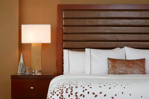 Renaissance St. Louis Airport Hotel Photos