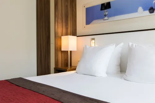 Holiday Inn Eindhoven Camere Photos