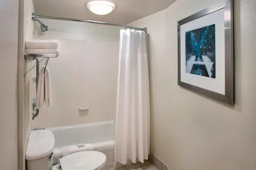 SpringHill Suites Philadelphia Willow Grove Photos