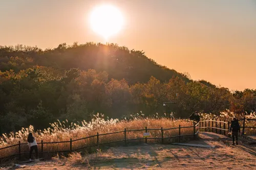 홀리데이 인 광주 호텔 주변 Photos
