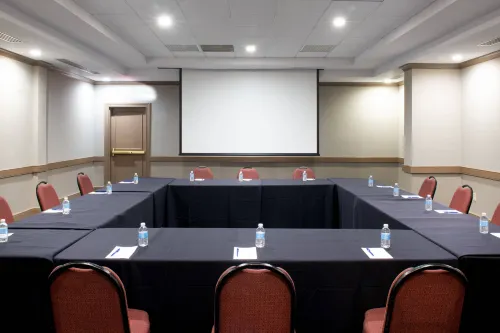 Skyline Hotel Detroit Airport, SureStay Collection by BW Business Facilities Photos