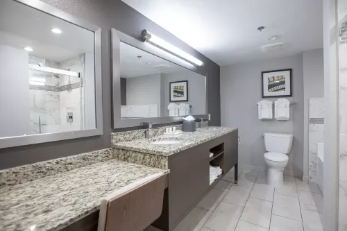 Holiday Inn St Louis SW - Route 66 Rooms Photos