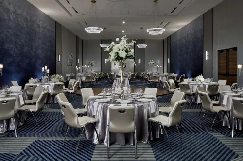 Le Méridien St. Louis Clayton Dining Photos