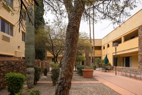 La Quinta Inn & Suites by Wyndham Tucson - Reid Park Extérieur Photos