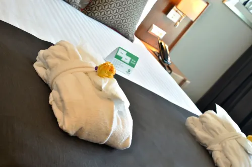 Holiday Inn Bursa - City Centre Photos