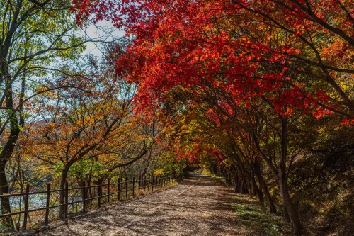 홀리데이 인 광주 호텔 주변 Photos