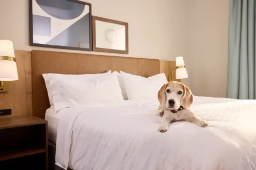 Staybridge Suites Bismarck Photos
