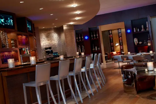 Renaissance St. Louis Airport Hotel Leisure & Recreation Photos