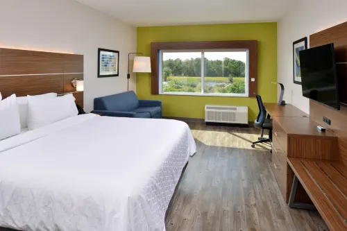 Holiday Inn Express Orlando - South Park Camere Photos