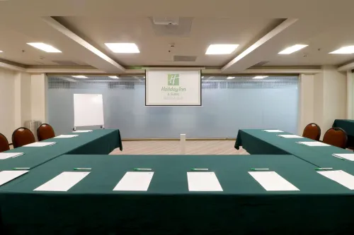 Holiday Inn & Suites Mexico Medica Sur Business Photos