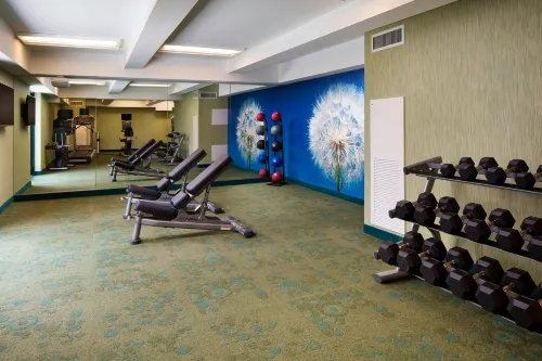 SpringHill Suites Houston Downtown/Convention Center Leisure & Recreation Photos