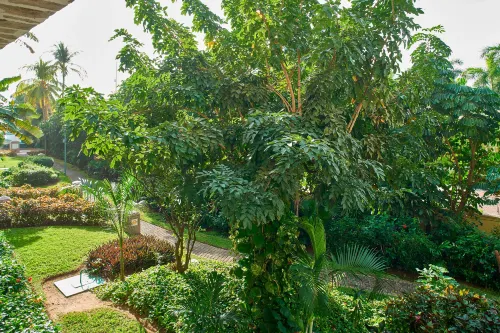 Marriott Puerto Vallarta Resort & Spa Exterior Photos