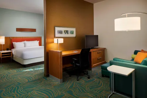 SpringHill Suites Houston Downtown/Convention Center Photos