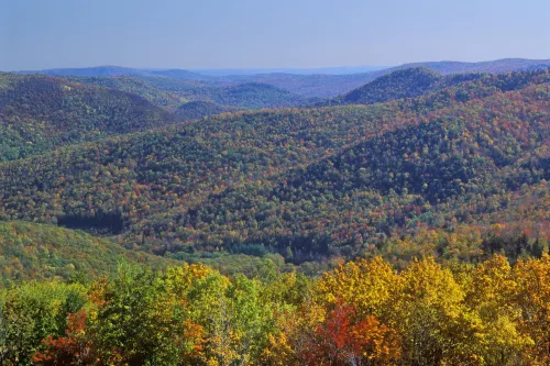 Fairfield Inn & Suites Great Barrington Lenox/Berkshires Near Hotel Photos
