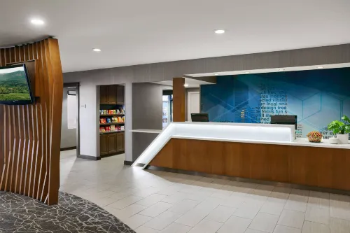 SpringHill Suites Tempe at Arizona Mills Mall Public Areas Photos
