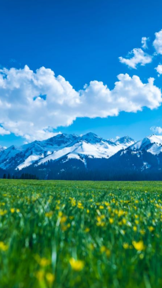 10D9N • Xinjiang + Urumqi + Ili + Kanas + Sayram Lake: group tour for up to 6 guests, premium airline seats, no scenic transfers & Nalati & Hemu in-scenic-area lodging