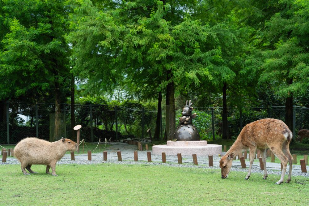 Bambi Land