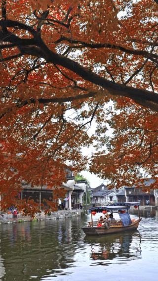 4D3N • Hangzhou + Suzhou + Wuzhen + Xitang Historic Town of China