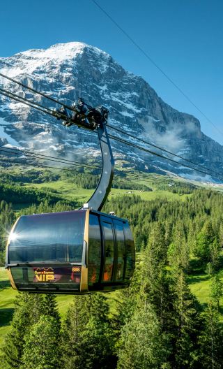 7D6N • Your Private Car Journey from Lakes to Legends – Lucerne, Interlaken, Bern & Zurich.