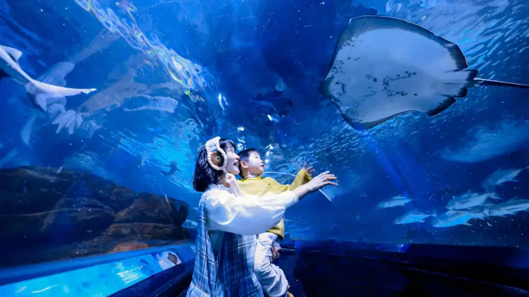 Shanghai Ocean Aquarium Tickets [2025] Promos, Prices, Reviews