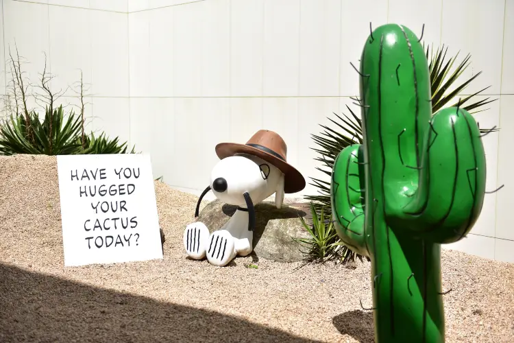 その他  GLOBE JEJU EDITION SNOOPY GARDEN Snoopy Garden - Discover Your City