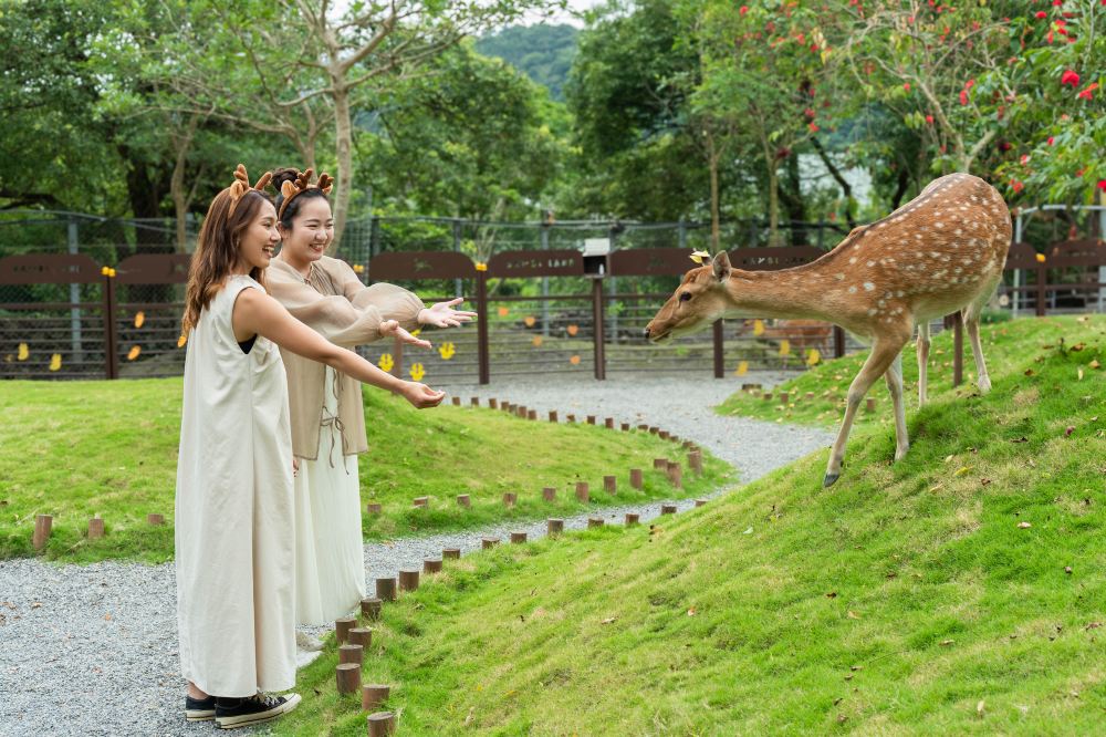 Bambi Land