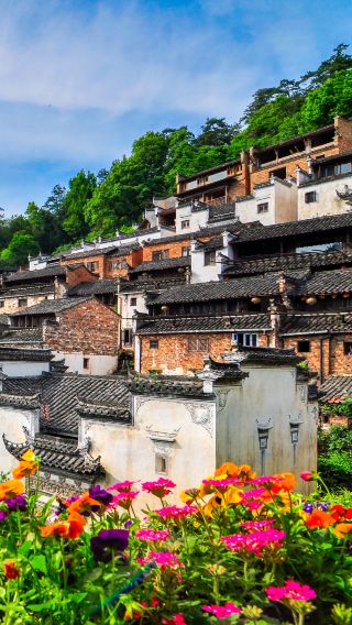 8日7晚 • 黃山風景區＋宏村景區＋婺源＋景德鎮古窯民俗博覽區＋三寶國際陶藝村
