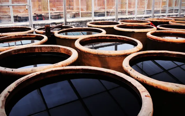 Donghu Vinegar Garden