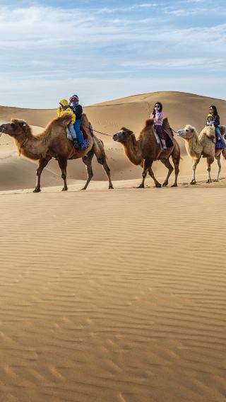 2D1N • Consult for customizable itineraries + hina-Inner Mongoli-Hohhot - Baotou - Xiangshaowan - Cheliuchuan