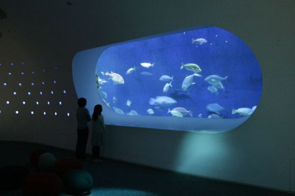 大分マリーンパレス水族館「うみたまご」