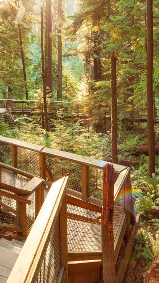 5D4N • Vancouver + Victoria + Whistler - Stanley Park · Capilano Suspension Bridge Park & Butchart Gardens & Sea-to-Sky Gondola