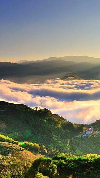 7D6N • Taipei + Taichung + Sun Moon Lake + Alishan National Scenic Area