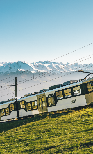 11D8N • Airfare Incl · Switzerland: Zurich + Lucerne + Bern + Mt. Bussalp + Zermatt + Chur · SG Departure · Flights Incl · Meals Incl · SG Tour Leader · Leisure Pace · Senior-Friendly