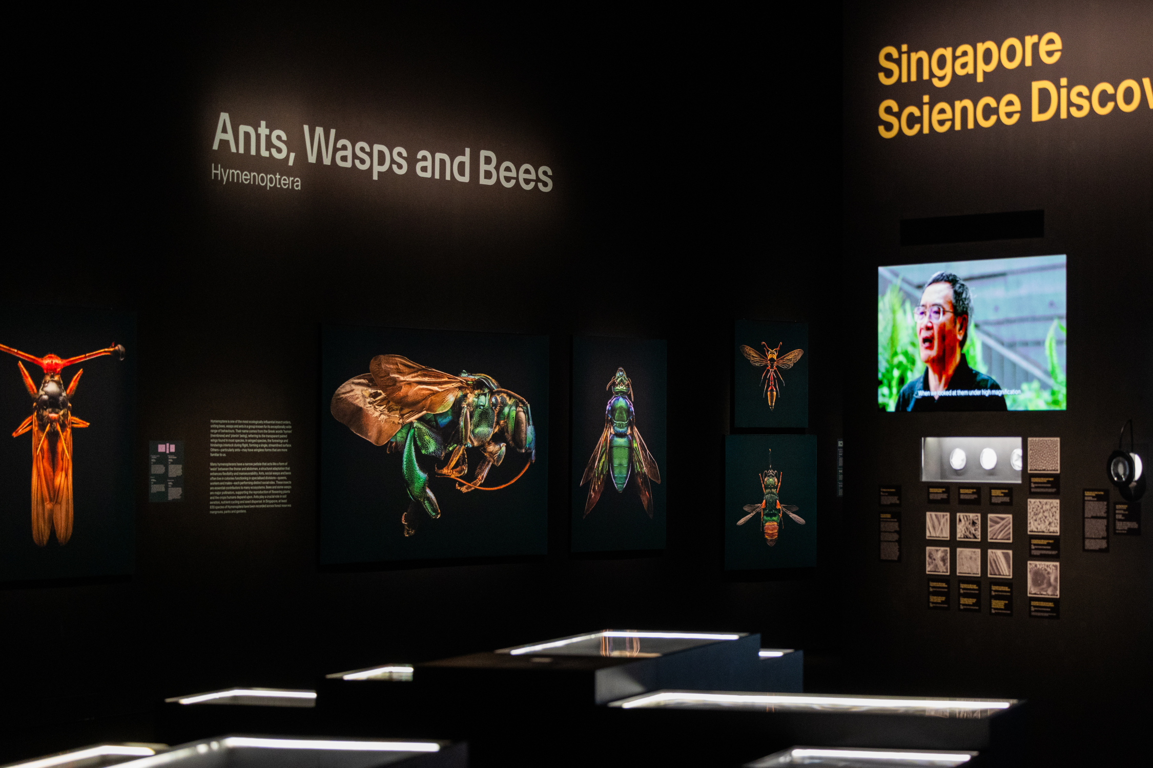 新加坡藝術科學博物館門票【2026】- 票券資訊、營業時間及評論｜Trip.com