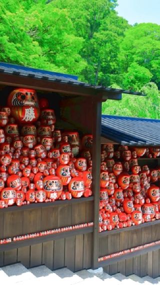 4D3N • Japan + Osaka + Kyoto + Kobe
