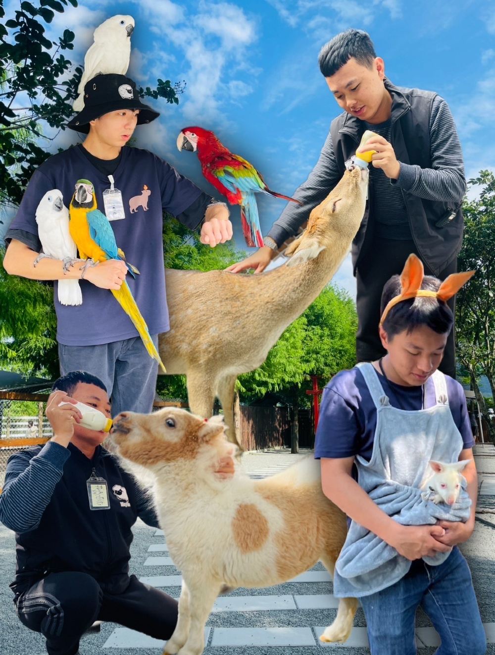 장메이 이모 농장