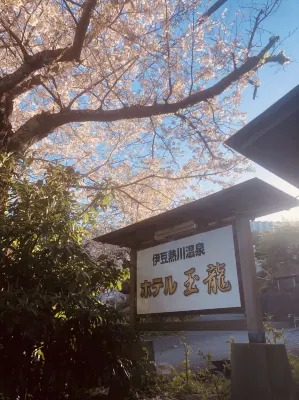 Izu Atagawa Onsen Hotel Gyokuryu À ne pas manquer Photos