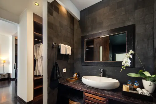 The Seiryu Boutique Bali Villas Rooms Photos