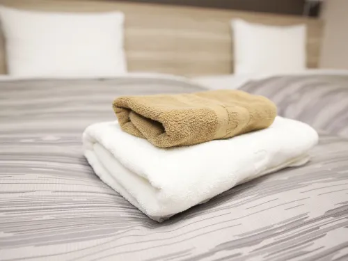 Hotel Route-Inn Oshu Rooms Photos