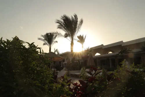 Pyramids Park Resort Cairo Extérieur Photos